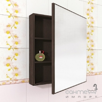 Зеркало для ванной комнат Софас Леди-Комо 65 в цвете
