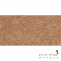 Плитка для підлоги з керамограніту 59Х119 Colorker Aurum Pulido Brown (коричневий)