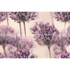 Плитка настенная, цветочный декор, клевер 2x(25x75) Ceramika Color Dekor Flint Dandelion