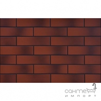 Фасадна плитка 245x65 CERRAD ELEWACJA ROT Cieniowany 9546 (червоно-коричнева, гладка)