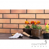 Фасадная плитка 245x65 CERRAD Loft brick CURRY 2051 (коричневая, структурная)
