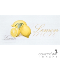 Настінна плитка декор 200X400 Marconi IBIZA BIANCO LEMON (лимон)