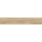 Плитка для підлоги Ragno Woodpashion Beige 15x90